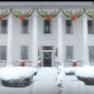 Meet your Posher, Lyn